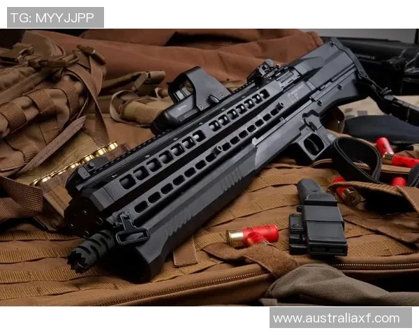 小春的枪械压制战术解析与实战应用探讨