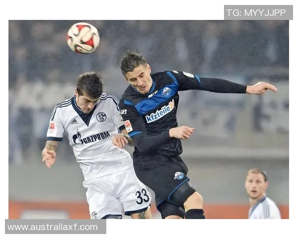 汉诺威96遭遇德乙降级危机，传统豪门陷困境