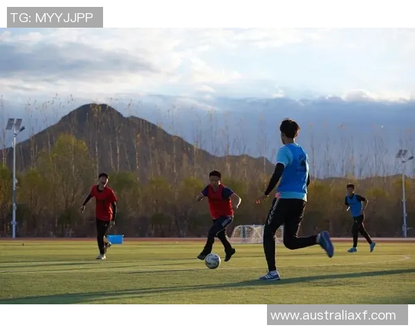 徐新传球技艺分析与战术应用探讨在现代足球中的重要性与影响